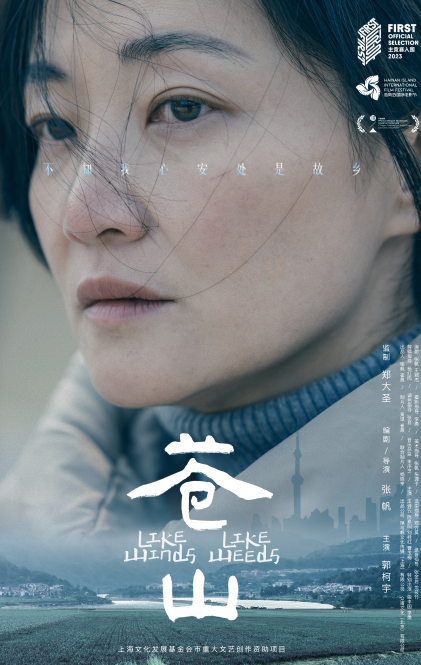 苍山.png