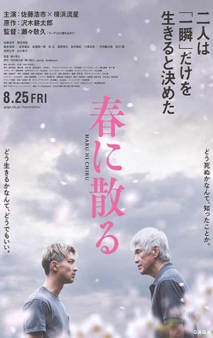 体育电影周-凋零在春天-海报.jpg