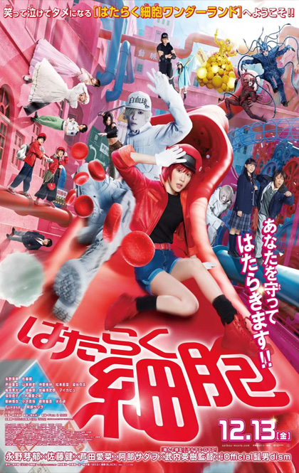 工作细胞 真人版.jpg