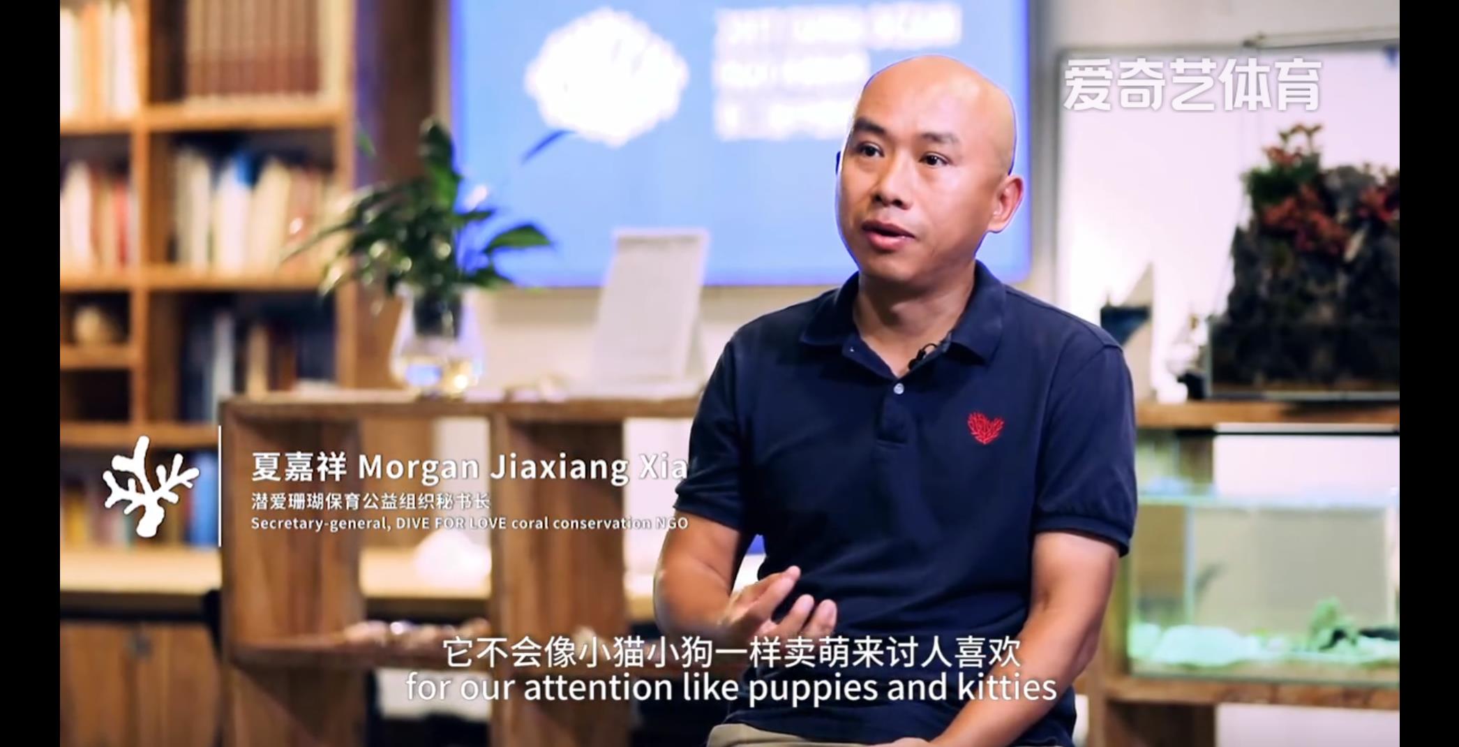 《寻找珊瑚海》.jpg