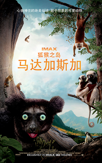 马达加斯加.jpg