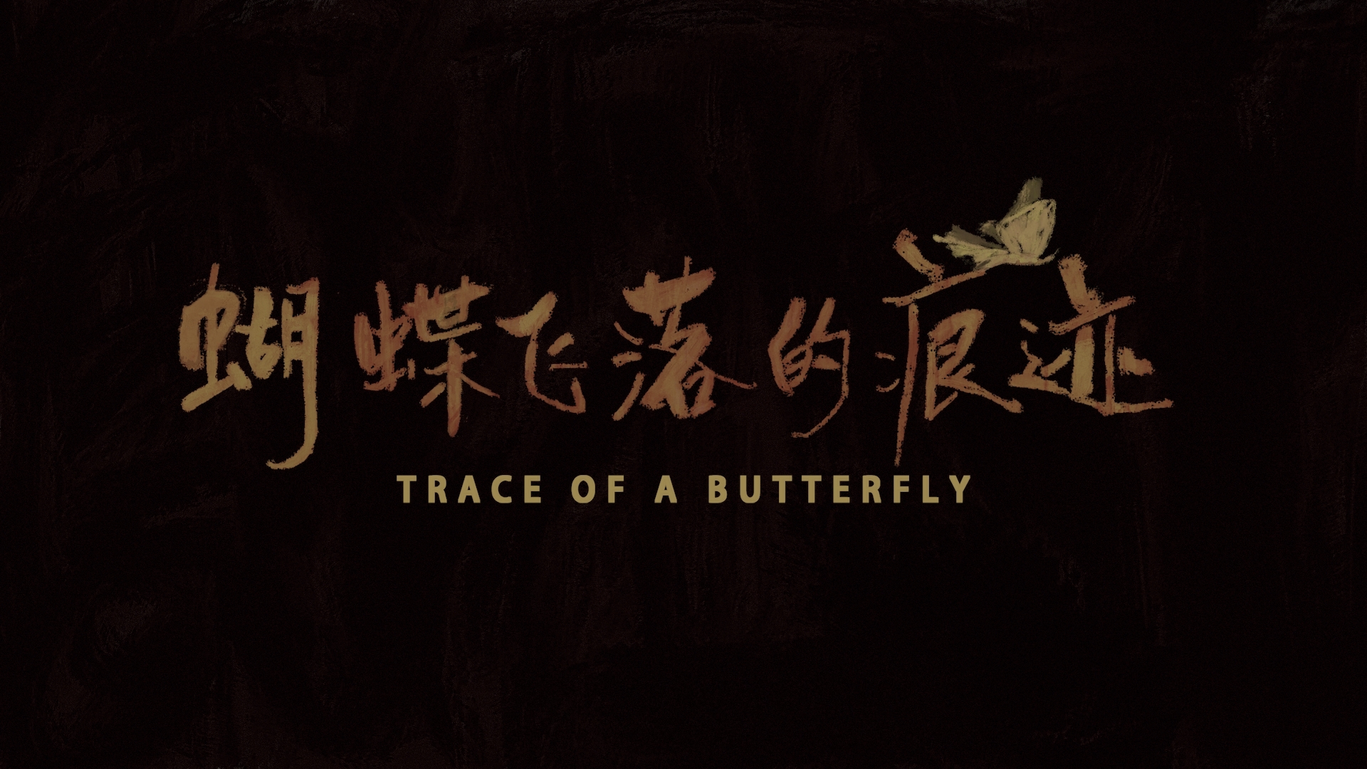 12【53 中传 徐   然《蝴蝶飞落的痕迹》】223 02《蝴蝶飞落的痕迹》徐然.mp4_snapshot_00.56_[2025.02.25_15.53.28]【封面】.jpg