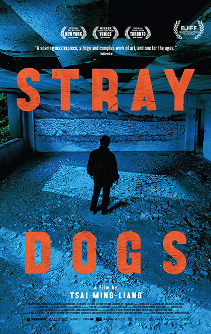 郊游StrayDogs海报.jpg