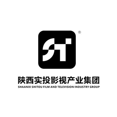 陕西实投影视产业集团有限公司.jpg