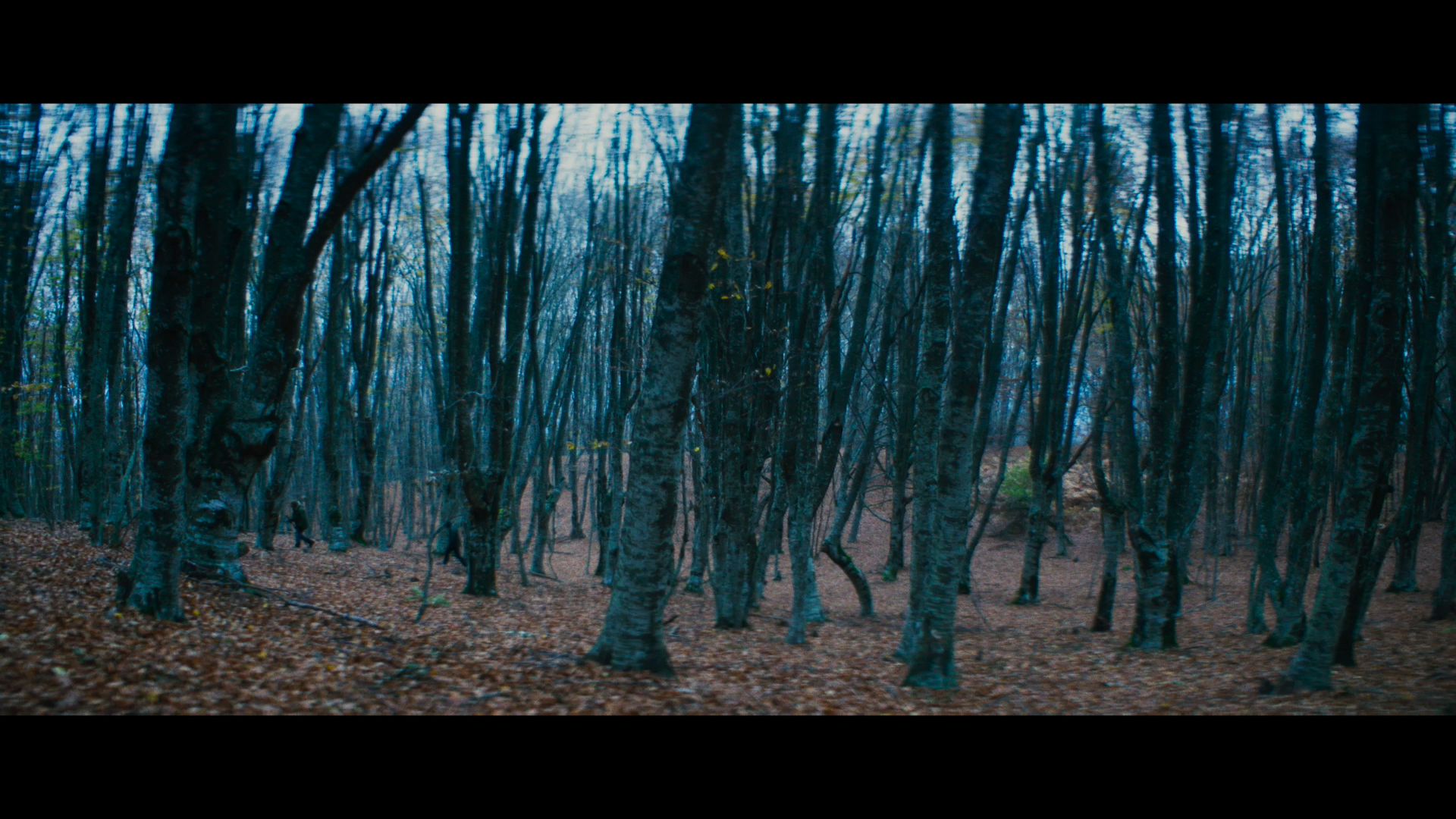 《掘地父子》片花2