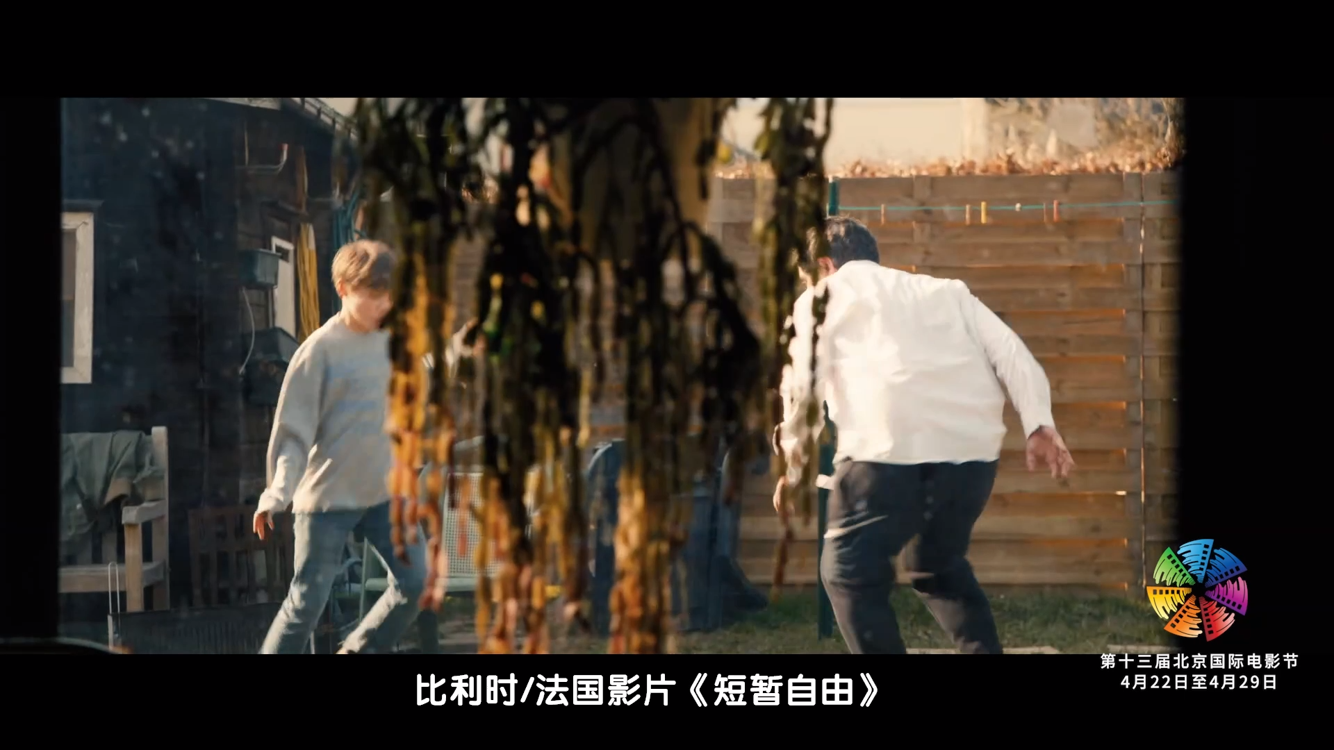 北影节天坛奖入围影片混剪